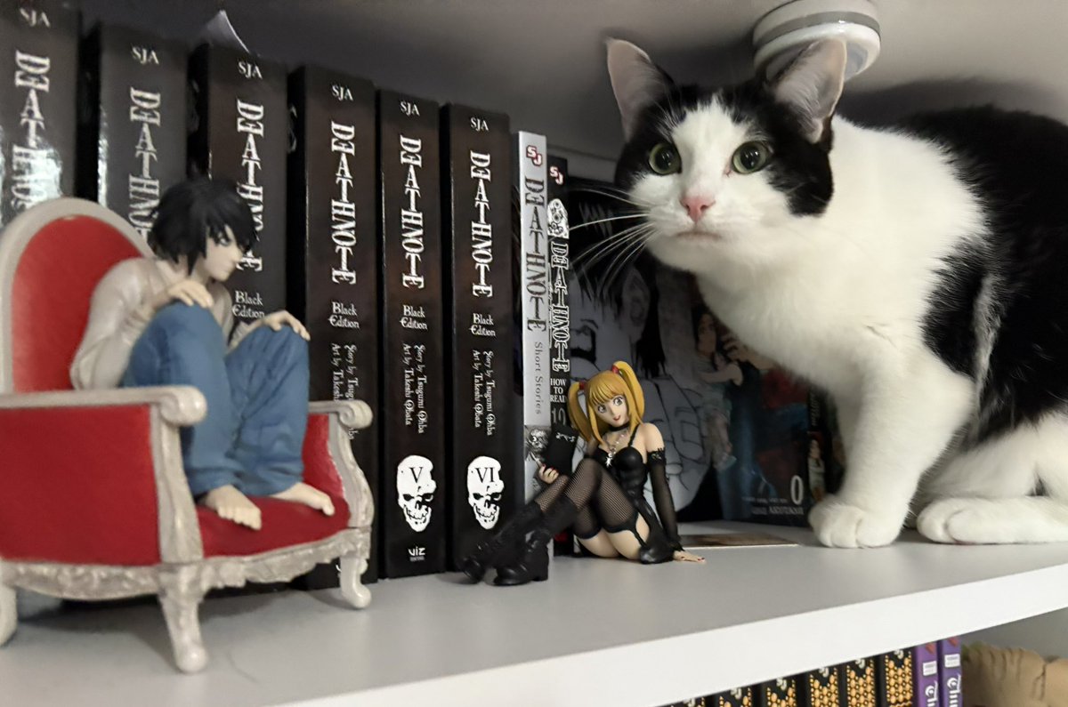 deathnoteacct's tweet image. big death note fan here