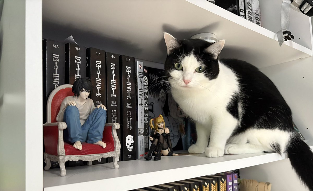 deathnoteacct's tweet image. big death note fan here