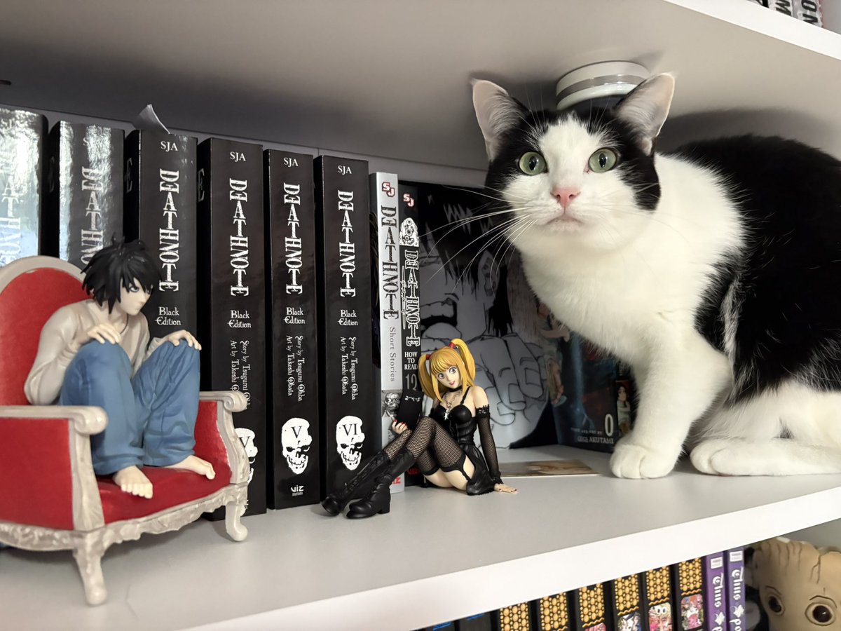 deathnoteacct's tweet image. big death note fan here