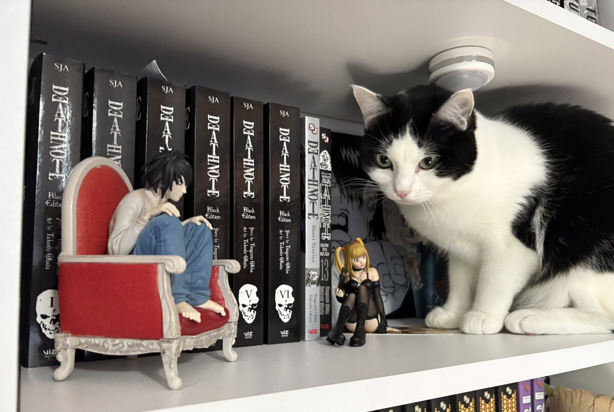 deathnoteacct's tweet image. big death note fan here