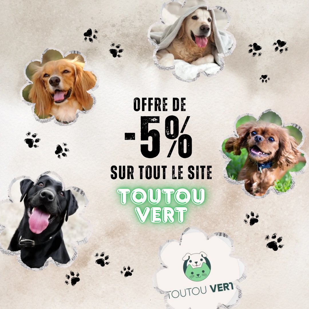 LeCercleDePan's tweet image. [ 🙏🏻 REFUGE/CODE PROMO💚] 
En passant commande sur le site Toutou vert ! Avec notre code promo « CERCLEDEPAN5 » vous bénéficiez de -5% sur votre achat,une partie est versée sur la cagnotte pour la construction de notre refuge 🐾🫶 Toutou vert commerciale du bio pour vos animaux!