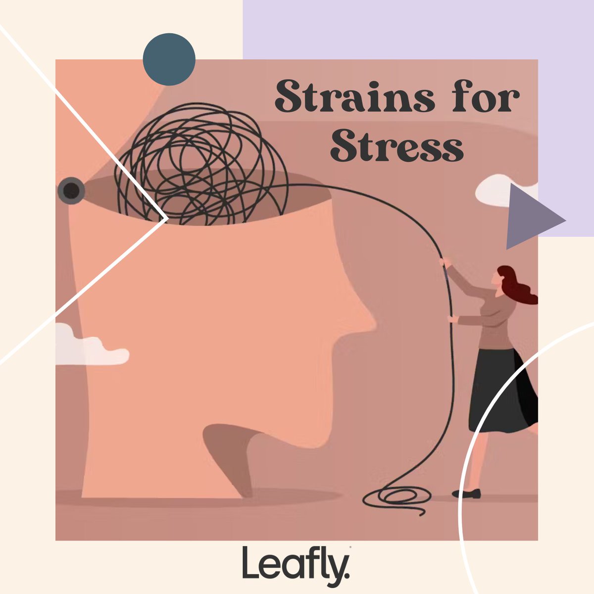 Leafly's tweet image. Stress shows up differently for everyone. We know the power of the plant has helped humans decompress for centuries. To honor Mental Health Awareness Month, we’ve compiled a collection of cultivars to help you deal with the inevitable pitfalls of stress in a plant-positive way.…