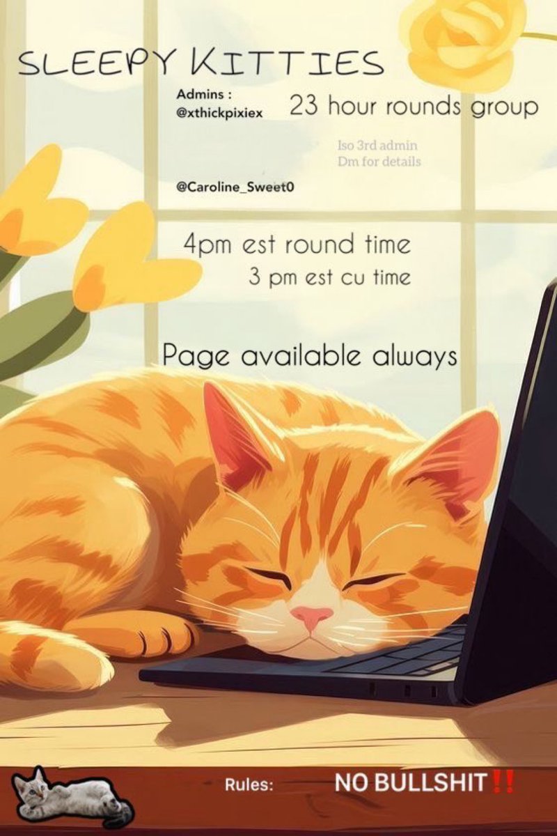 Sleepy Kitty tweet media