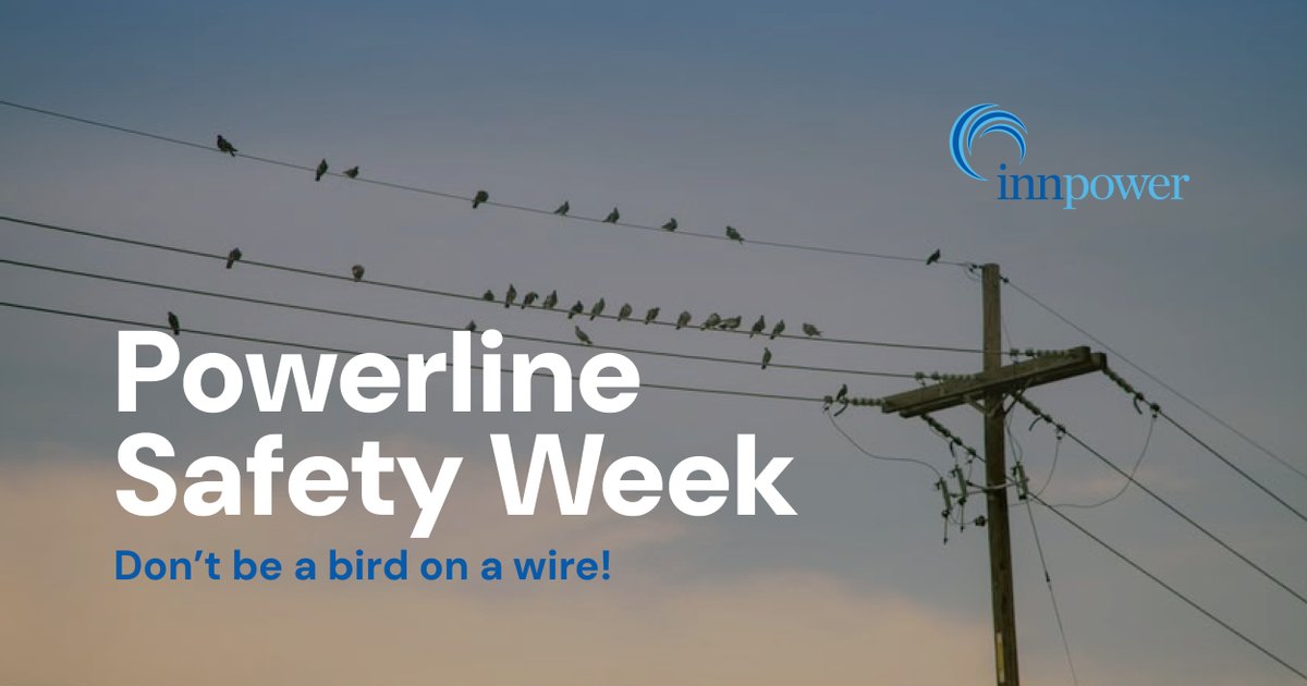 InnPower_'s tweet image. 🐦Birds may be able to touch powerlines, but you can't! Always stay at least 3 meters away from power lines. 

Electricity can jump or 'arc' on to you or objects near you if you get too close⚡
For more information, visit esasafe.com/safety/powerli…
#RespectThePower #PowerlineSafety