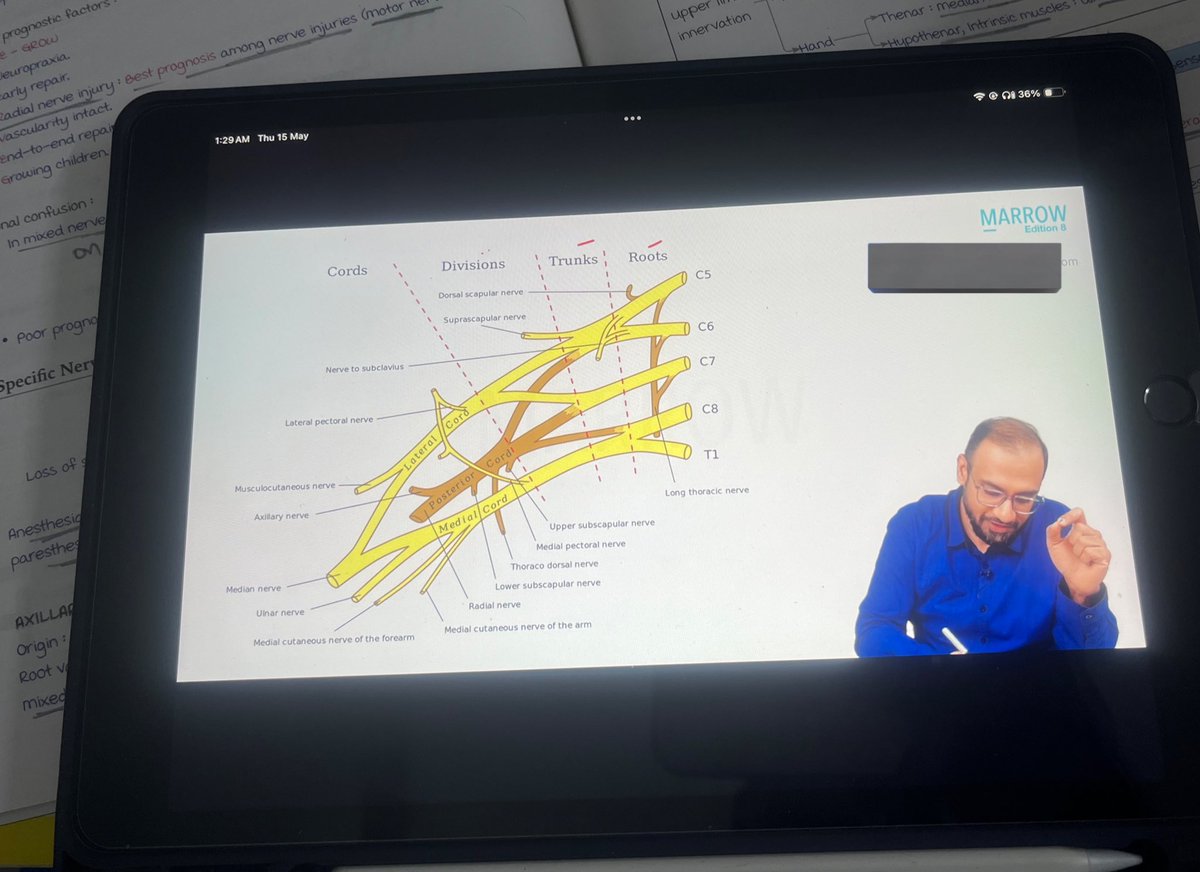 MR_SEROTONIN_'s tweet image. Ab to pichha chhod de #BrachialPlexus 😭