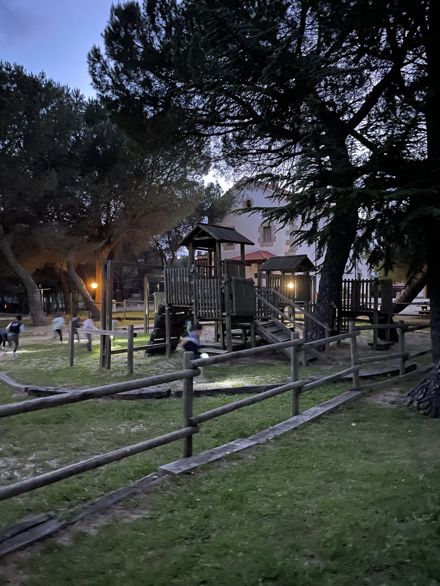 Miriam Fernández tweet media