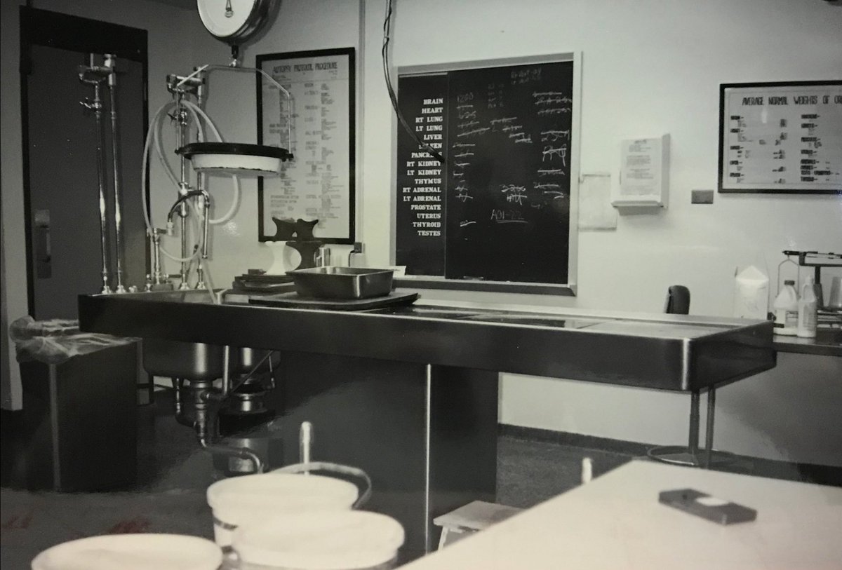 This is the autopsy room that inspired The Grave Below. I wish I had a color photo. It was bleak. I worked there from 2001 to 2007. I started scheming a novel in 2006; started writing it in 2009. Finally published in 2020. I hope to have the sequel published later this year.