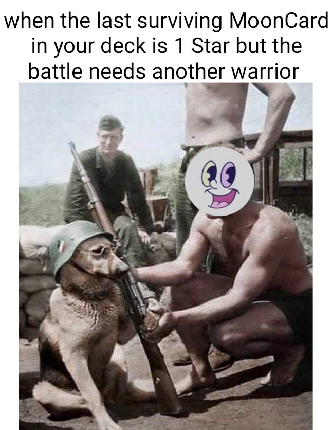 Squidward022's tweet photo. #MoonCardsMeme

Every card is a soldier 💂🏼‍♂ https://t.co/8DAwlCX9wc