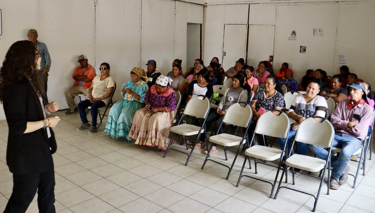 TEEChihuahua tweet media