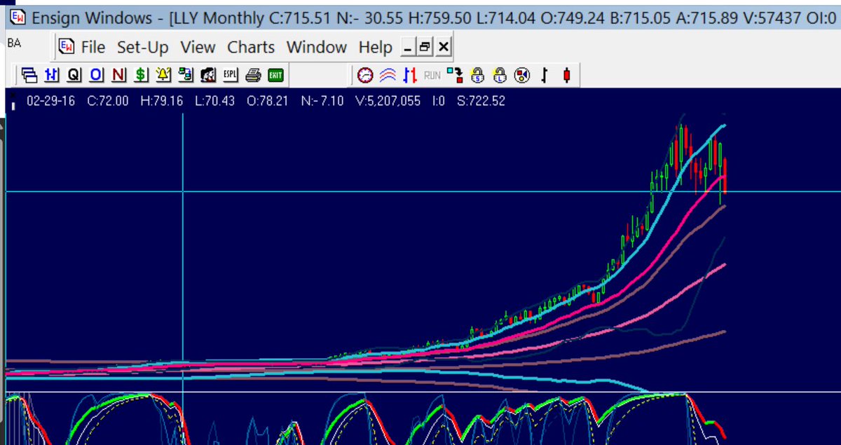 WokePortfolio tweet media