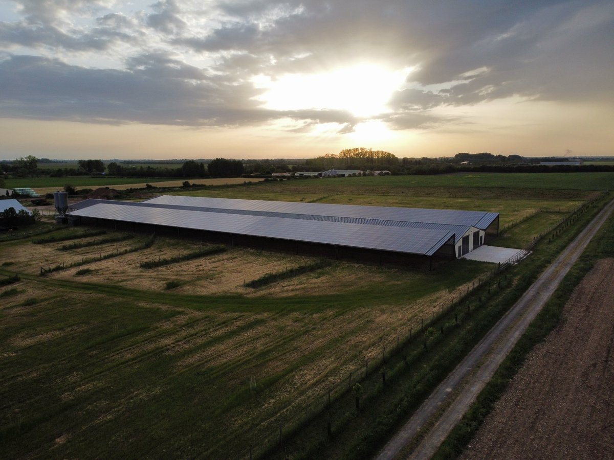 Oulala, ça fait longtemps X !
Je te donne quelques nouvelles. 
Semis de maïs bio avec les enfants, déconfinement des poules sur leur parc de 4ha après avoir profité des auvents pendant plusieurs semaines, le soleil qui revient. Tout va bien ☺️
🍀