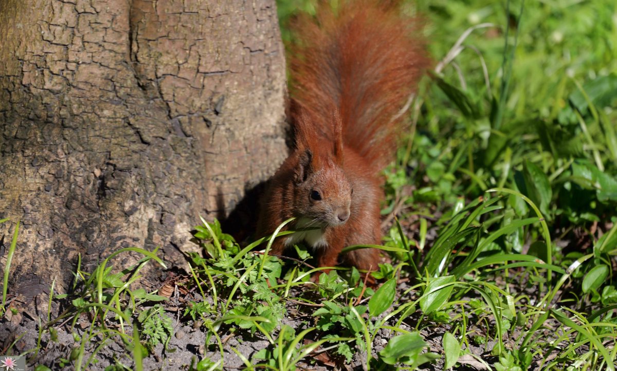 Susanna_Point_Photos (@point_photos) on Twitter photo 