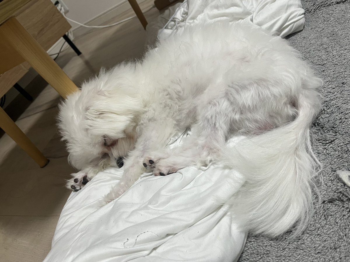 おててグッパグッパして寝てた。1歳超えたけどまだまだ赤ちゃん👶