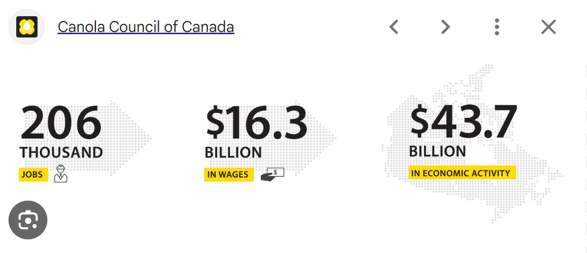 THE CANADIAN CANOLA INDUSTRY

is TWICE the size of the Canadian Auto Industry  ($43.7 billion v $19 billion)

Why does NO ONE CARE about Alberta and Sask?

Where is TEAM CANADA?  and why does DOUG FORD get a monopoly on moralistic, flag wearing, outrage?