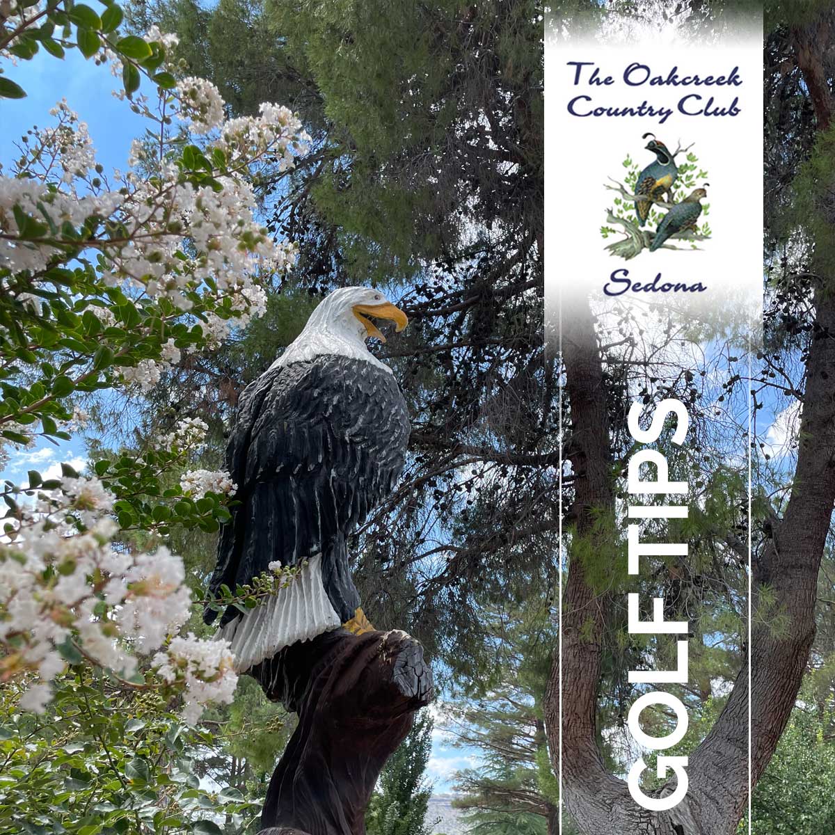 OakcreekCClub's tweet image. Smart golf isn’t just about power—it’s about strategy.
 This week’s tip: Play to your strengths, avoid hazards, and think one shot ahead.
 
🔗 zurl.co/0EWZ9 

#GolfTips #SmartGolf #CourseStrategy