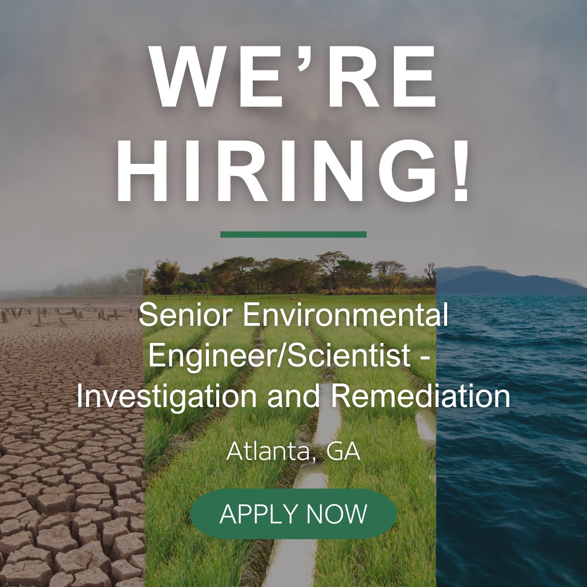 Do you want to work with an engaged team that is focused on creative solutions to complex environmental problems? Click the link below to check out a great opportunity to join our growing Environmental Investigation &amp; Remediation group.
Apply Today!  lnkd.in/gGwrtkz5