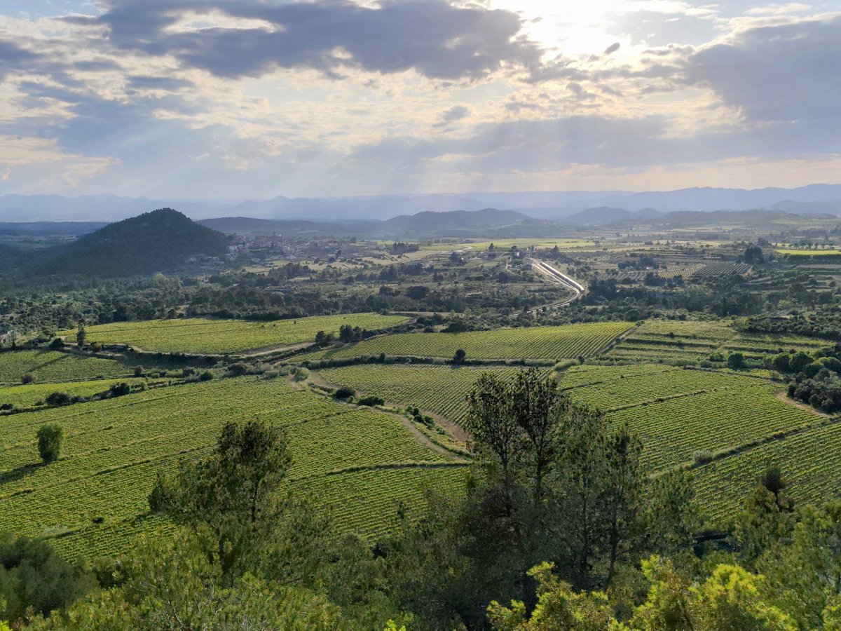 Benito Torrecillas (@bentorbae) on Twitter photo Priorat. Priorat.