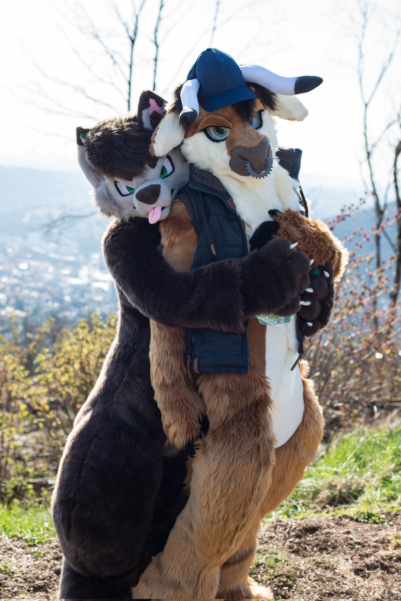 Do you know that?
That cute little guy who just won't let you go^^

It is the super lovable Freakhound <a href="/quodlupusdei/">_ QuodLupusDei</a> ❤️🤩🤗

Thank you for the awesome 📸 <a href="/VanguardJack/">JackVanguard</a>