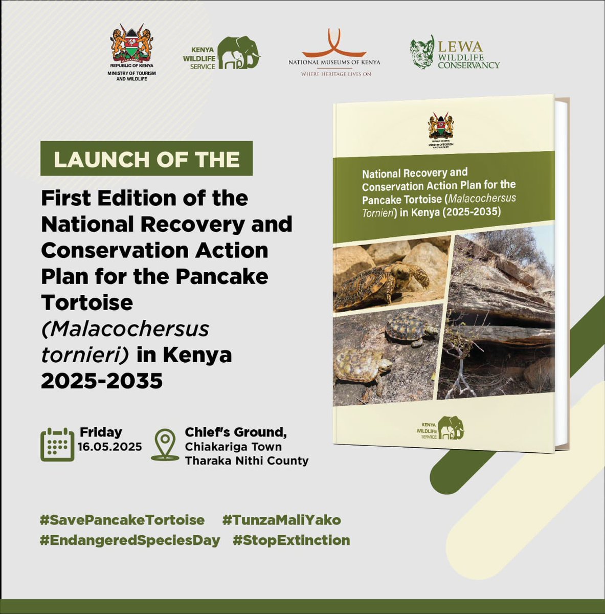 As the world prepares to mark Endangered Species Day on Friday, 16th May 2025, Kenya Wildlife Service warmly invites you to a landmark conservation event - the official launch of the National Recovery and Conservation Action Plan for the Pancake Tortoise