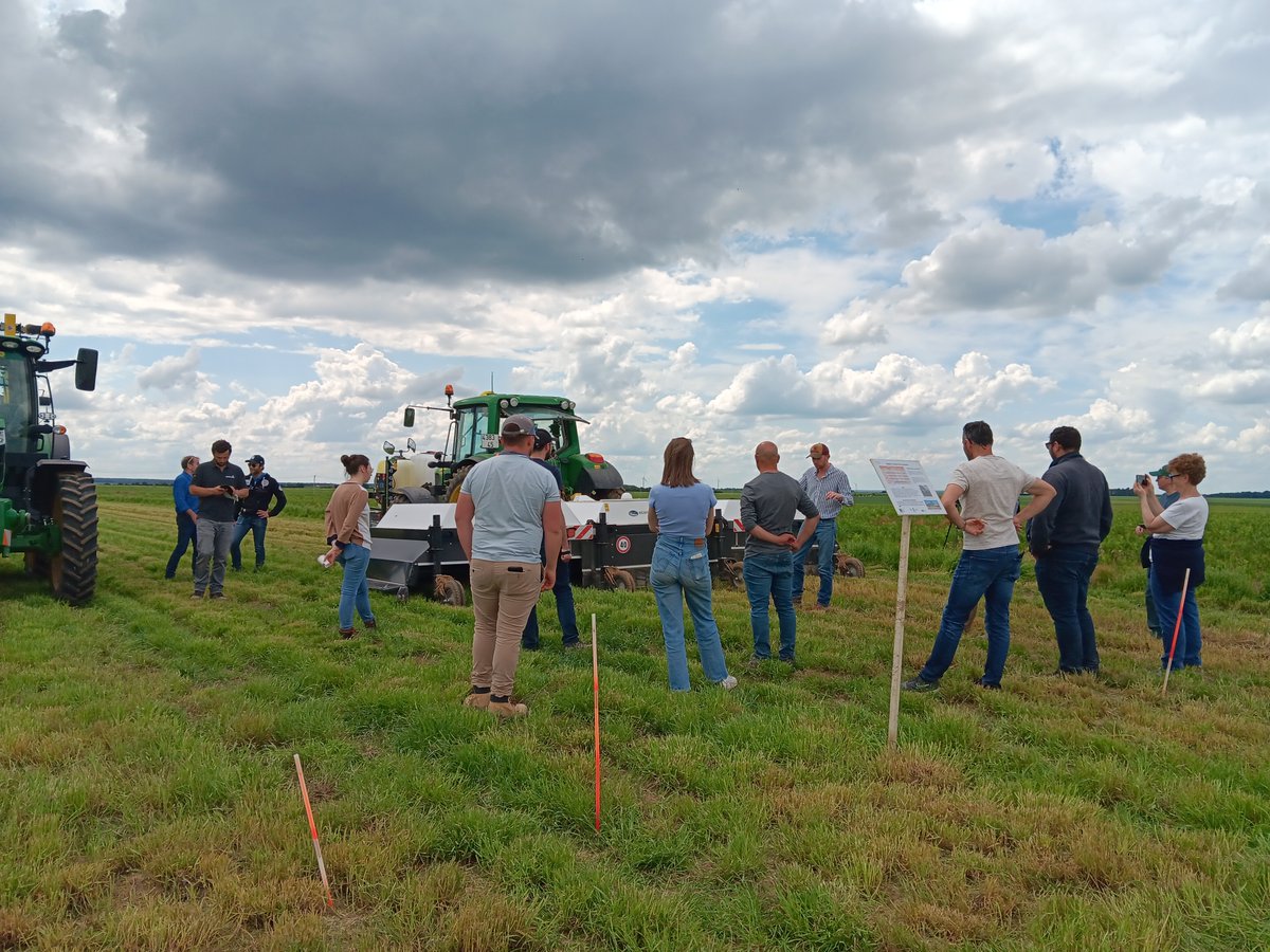 FNAMS (@lafnams) on Twitter photo Hier, agriculteurs et techniciens ont découvert les avancées du projet CARFEE, volet carotte, mené par <a href="/LaFNAMS/">FNAMS</a> L’objectif? Explorer des solutions alternatives pour maîtriser l'enherbement en porte-graine <a href="/Agri_Gouv/">Ministère Agriculture et Souveraineté alimentaire</a> <a href="/OFBiodiversite/">Office français de la biodiversité</a> <a href="/Dephy_Ecophyto/">Réseau DEPHY</a> <a href="/VilmorinMikado/">Vilmorin-Mikado</a> <a href="/semae_officiel/">semae</a> Hier, agriculteurs et techniciens ont découvert les avancées du projet CARFEE, volet carotte, mené par <a href="/LaFNAMS/">FNAMS</a> L’objectif? Explorer des solutions alternatives pour maîtriser l'enherbement en porte-graine <a href="/Agri_Gouv/">Ministère Agriculture et Souveraineté alimentaire</a> <a href="/OFBiodiversite/">Office français de la biodiversité</a> <a href="/Dephy_Ecophyto/">Réseau DEPHY</a> <a href="/VilmorinMikado/">Vilmorin-Mikado</a> <a href="/semae_officiel/">semae</a>