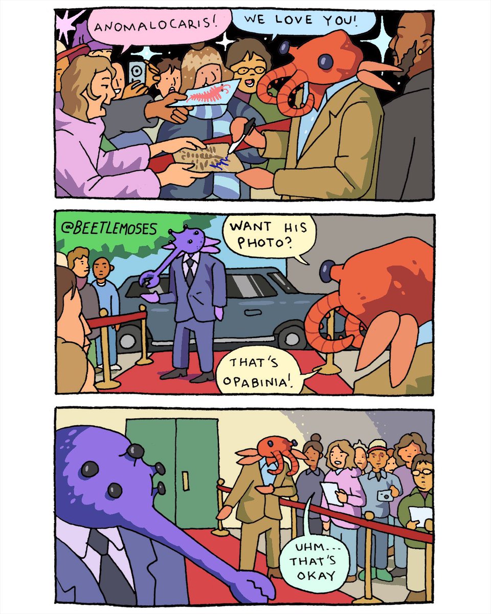 beetle moses (@beetlemoses) on Twitter photo 