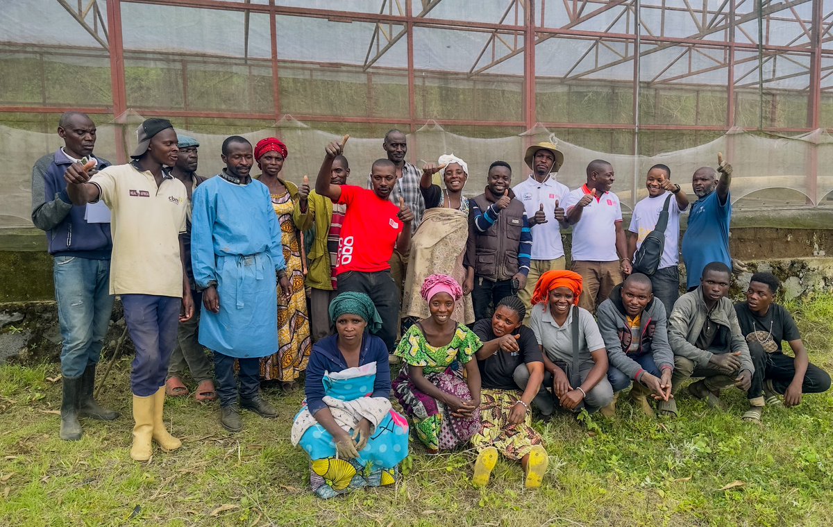 IrMihigo's tweet photo. 🌱 Redémarrage de la #Green_House de #Karuba à #Masisi par  #VIFEDE en accompagnant la #COOPAKA avec le l’appui de @hekseperworld 
Plus de 2000 vitro-plants plantés 🌿, système d'irrigation remis en place . #AgricultureDurable #SécuritéAlimentaire
@FAO @WFPDRC https://t.co/UTOJHkSQDZ