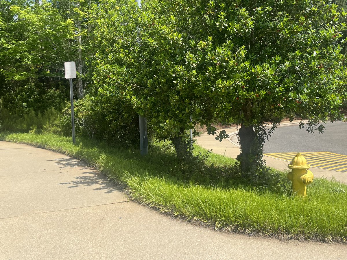 👏Thank you to all of the PUE families and Mr. Tunstall who volunteered at Grounds Clean Up on Saturday!! 
Your hard work paid off- it looks fantastic 🤩
Special thanks to Matt and Alex for organizing and coordinating! 🌳🌲