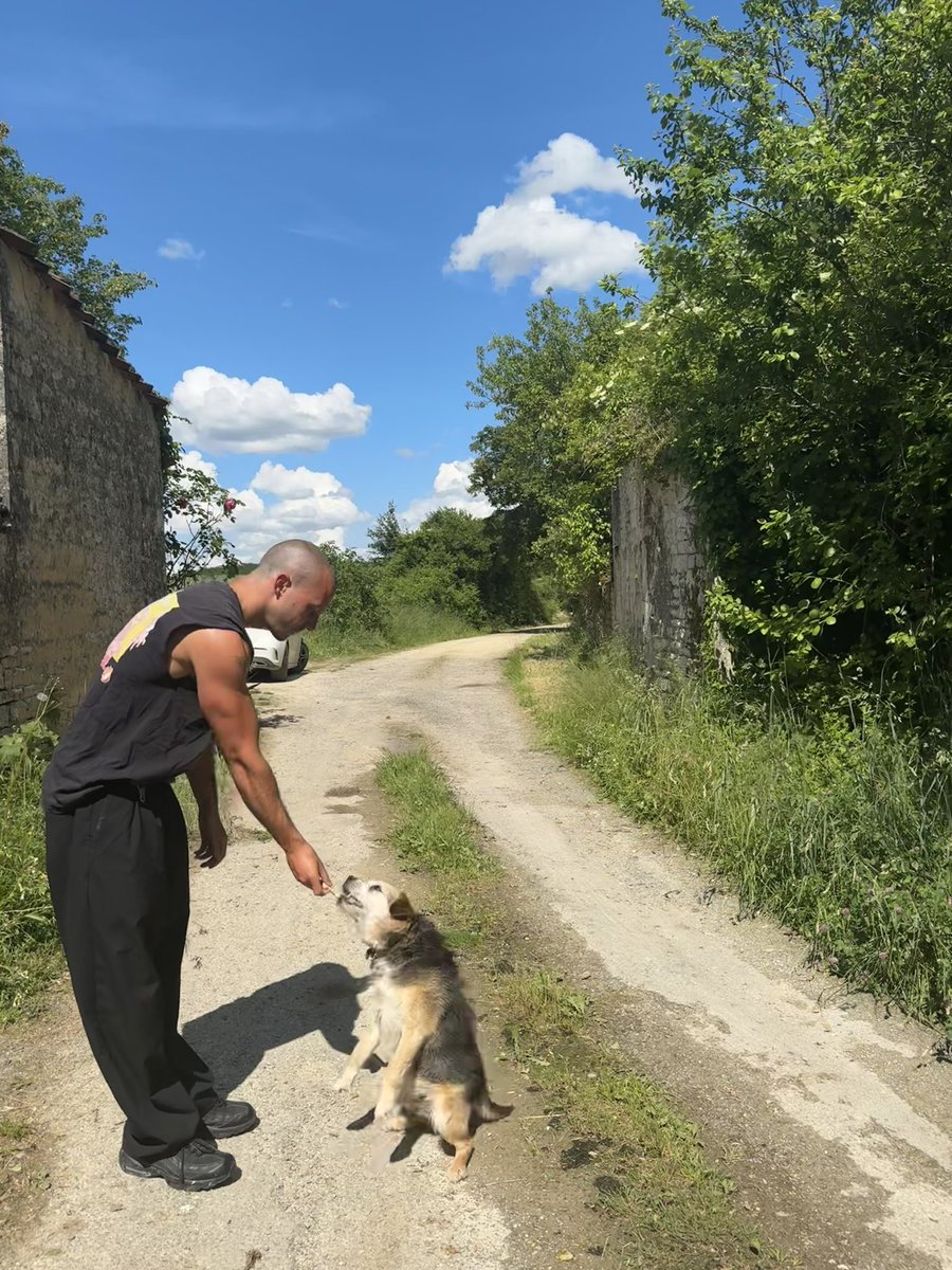 Proof of woof right here, gimme something good in return  

(He’s getting old and can’t jump for biscuits so well these days)