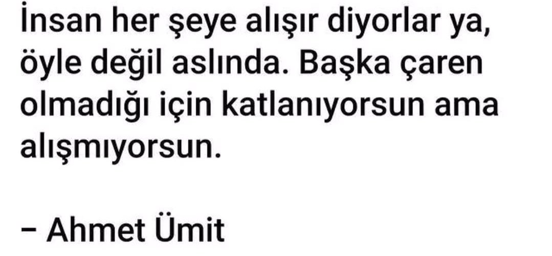 rstgrsln's tweet photo. https://t.co/5RXagmotas