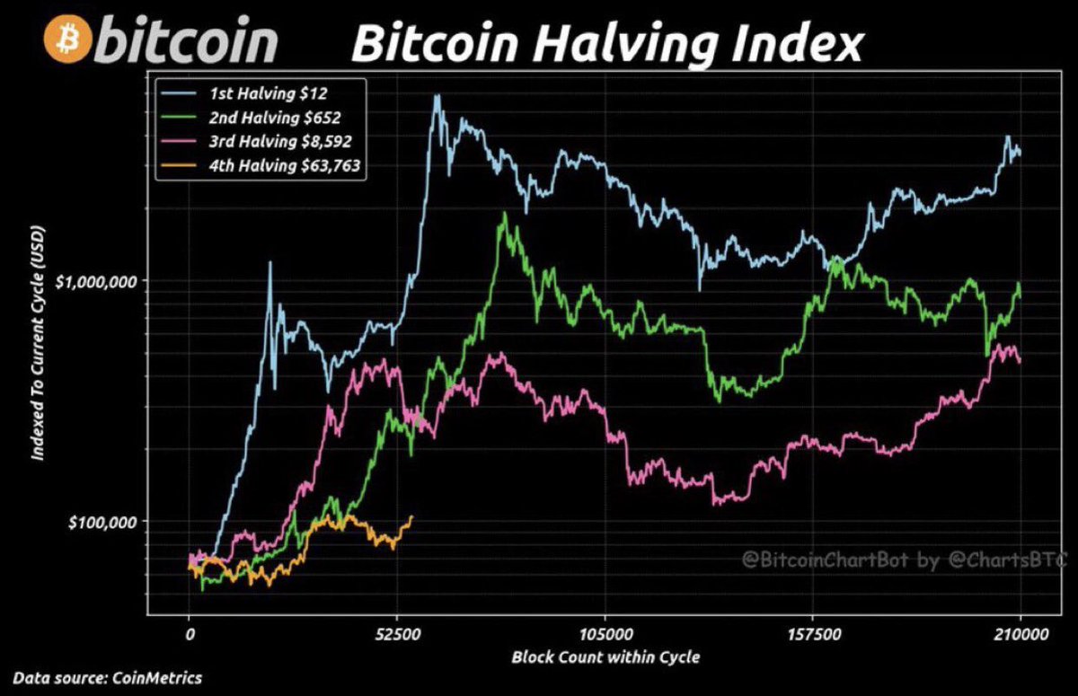 🚨 BREAKING: "Il Ciclo di Halving di Bitcoin: Prospettive di Crescita e Aumento dei Prezzi"