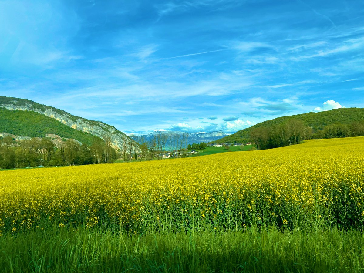 Good morning everyone!

Questioning yourself isn’t weakness.
It’s awareness.
It’s choosing growth over ego.
True strength begins with reflection.

Have a great day!