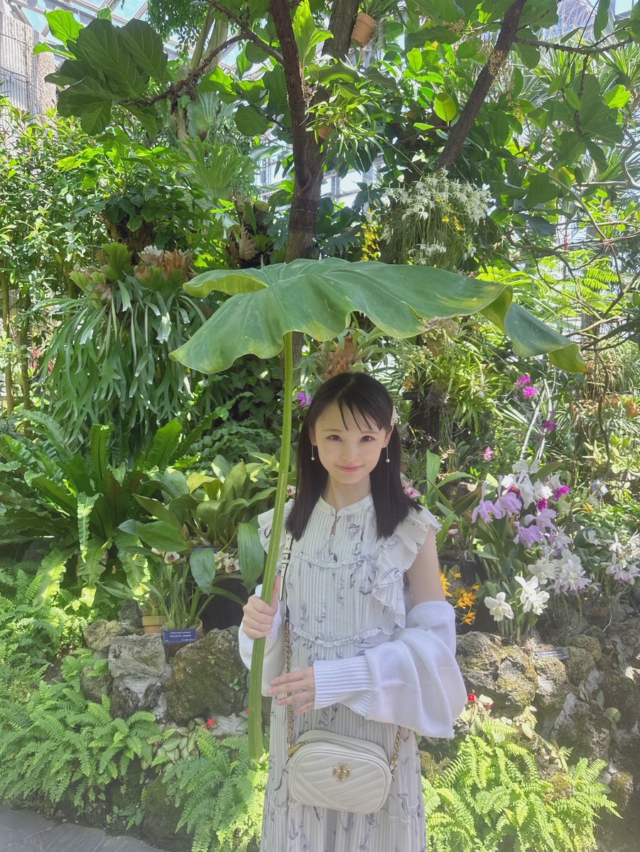 おはようᏊ ֊ .̫ ֊ Ꮚ しんしんは画像より動いてる方が可愛いらしいよ♡

store.universal-music.co.jp/event-list