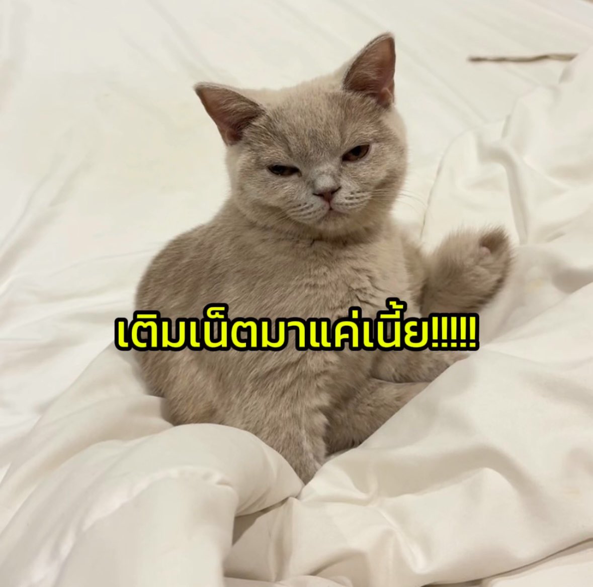 เลยย หรอ .. มาแล้ว ไปแล้ว