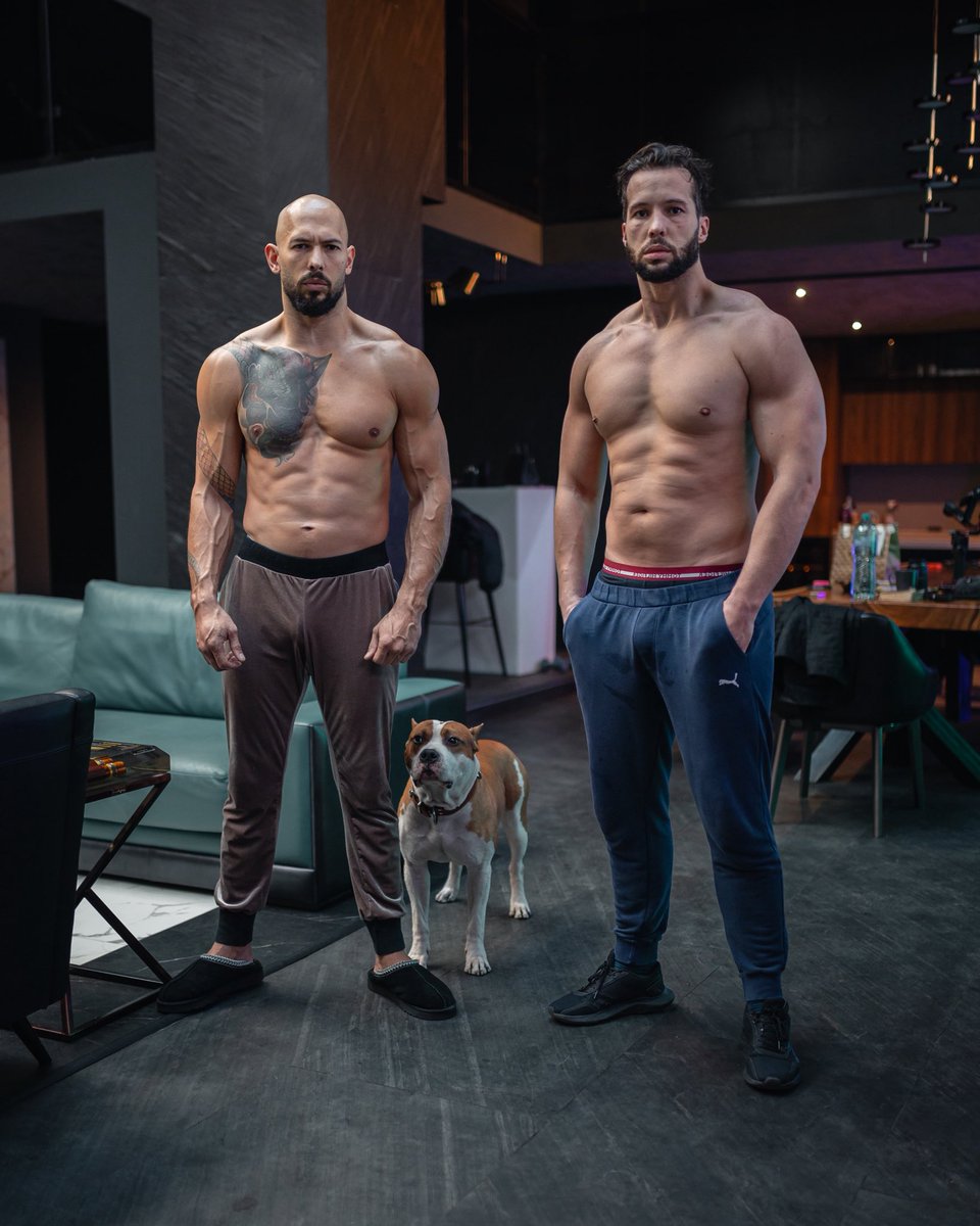 Prime Tate tweet media