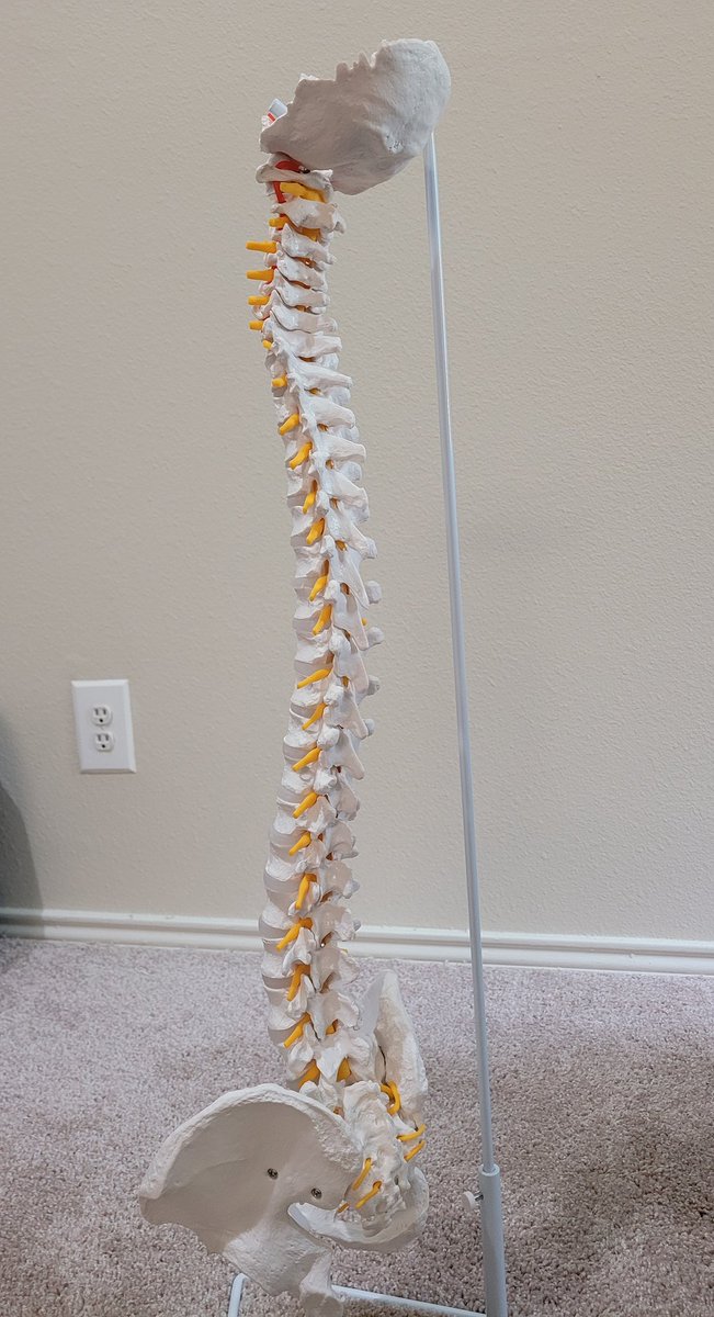 B L E S T tweet media