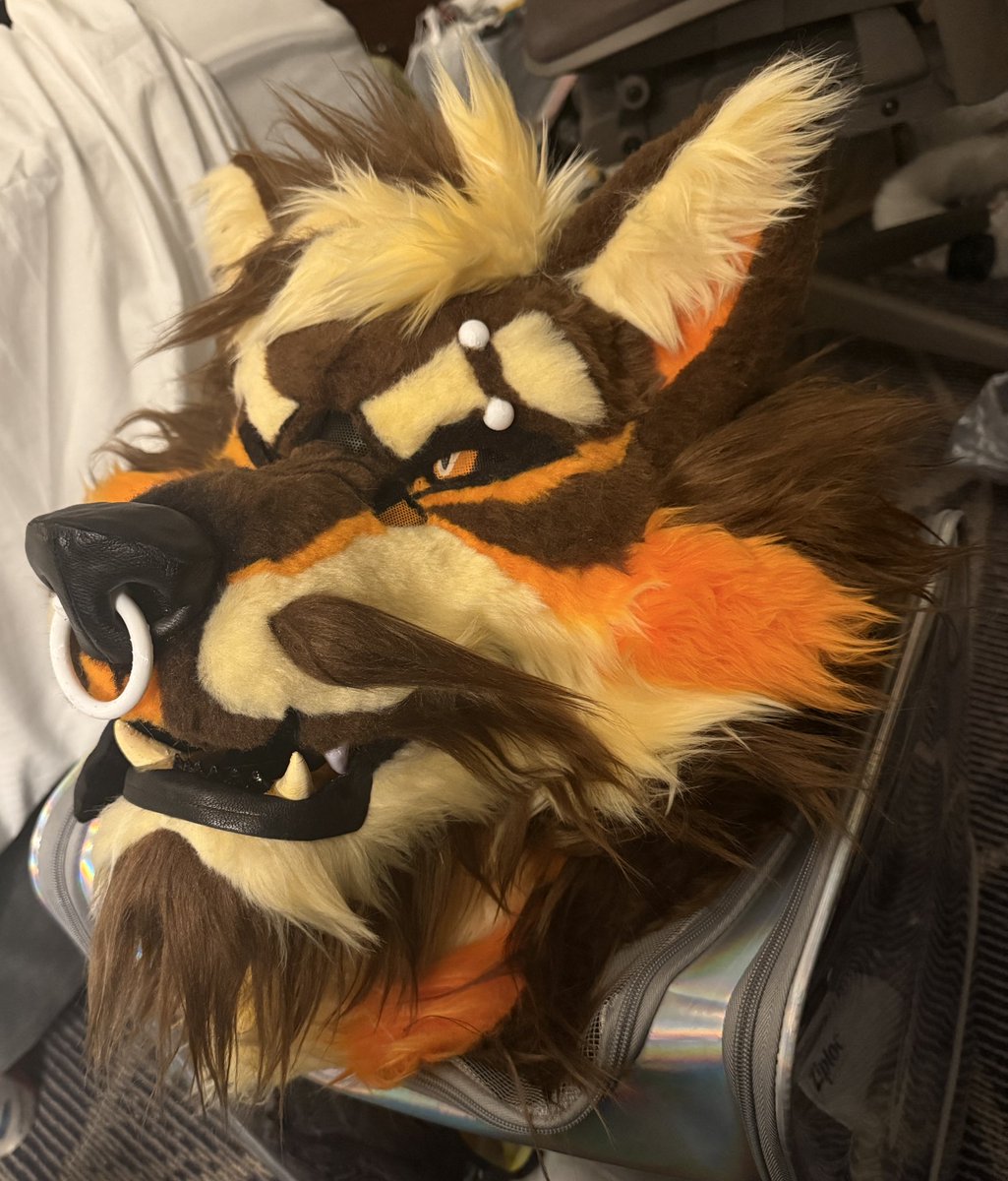 Zuo🐅 →LVFC (@tigerzuotiger) on Twitter photo This is the preliminary design sketch for a fursuit adoptable made for FWA. The base was provided by <a href="/Canis_Major_C/">✨CanisMajor ✨</a> for testing a full TPU head. Unfortunately, it didn’t sell, so I’ll make some adjustments and add a set of realistic paws for improvement.
#FWA #FurryArt This is the preliminary design sketch for a fursuit adoptable made for FWA. The base was provided by <a href="/Canis_Major_C/">✨CanisMajor ✨</a> for testing a full TPU head. Unfortunately, it didn’t sell, so I’ll make some adjustments and add a set of realistic paws for improvement.
#FWA #FurryArt