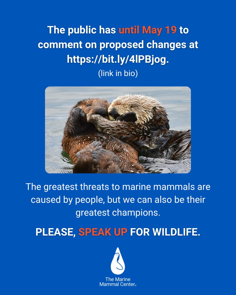 TMMC's tweet image. Please, speak up for wildlife before it’s too late. Help protect the Endangered Species Act at bit.ly/4lPBjog.

#EndangeredSpeciesAct #EndangeredSpecies #WildlifeConservation