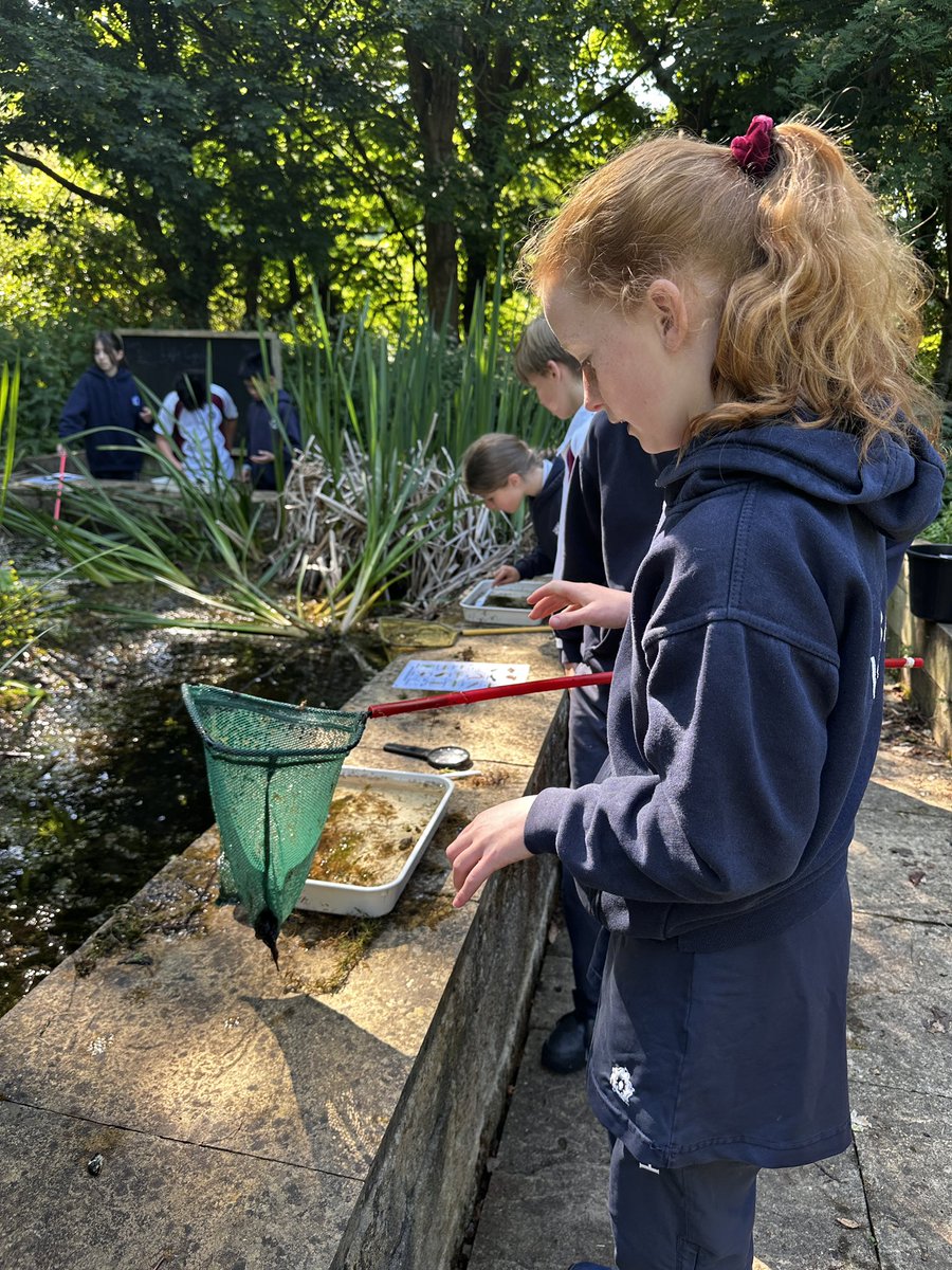 KESBathJunior's tweet image. Year 5 were busy up at our dipping ponds today, consolidating their learning about life cycles and the metamorphosis of amphibians.