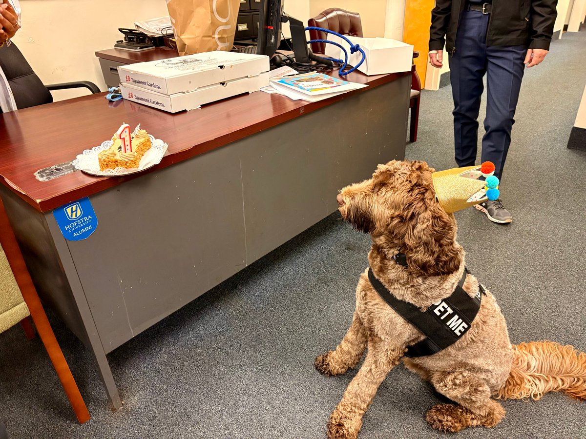 Hofstra Spec. Coll. (@huspeccoll) on Twitter photo Mack picked our birthday card as his favorite, and we couldnโt be more thrilled! Our sincerest thanks go out to the folks at <a href="/HofstraSafe/">Hofstra Public Safety</a> for inviting us over to join in the festivities. Many happy returns, Mack!!! @hofstrau #Hofstra Mack picked our birthday card as his favorite, and we couldnโt be more thrilled! Our sincerest thanks go out to the folks at <a href="/HofstraSafe/">Hofstra Public Safety</a> for inviting us over to join in the festivities. Many happy returns, Mack!!! @hofstrau #Hofstra