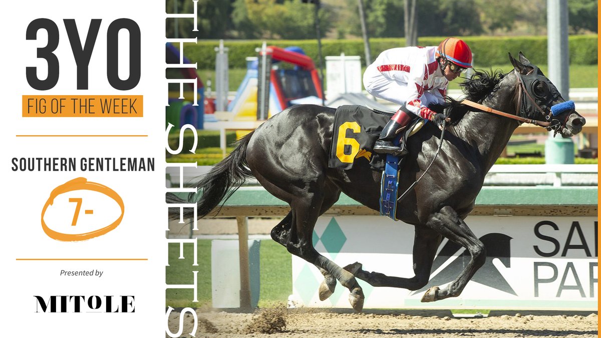 Ragozin Sheets (@ragozinsheets) on Twitter photo #3YOFigOfTheWeek brought to you by <a href="/spendthriftfarm/">Spendthrift Farm</a> stallion MITOLE, is his <a href="/santaanitapark/">Santa Anita Park</a> Debut MdSpWt winning son, SOUTHERN GENTLEMAN!
📷 by <a href="/benoitphoto_/">Benoit Photo</a> #3YOFigOfTheWeek brought to you by <a href="/spendthriftfarm/">Spendthrift Farm</a> stallion MITOLE, is his <a href="/santaanitapark/">Santa Anita Park</a> Debut MdSpWt winning son, SOUTHERN GENTLEMAN!
📷 by <a href="/benoitphoto_/">Benoit Photo</a>