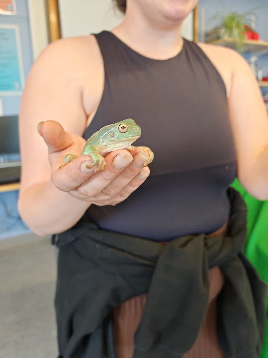 ClevedenScience's tweet photo. S2 had a great day learning about Biodiversity. Thanks to Zoolab for for letting us meet their animals and learning more about them.@ClevedenSec42 https://t.co/xhG2gx7bHO
