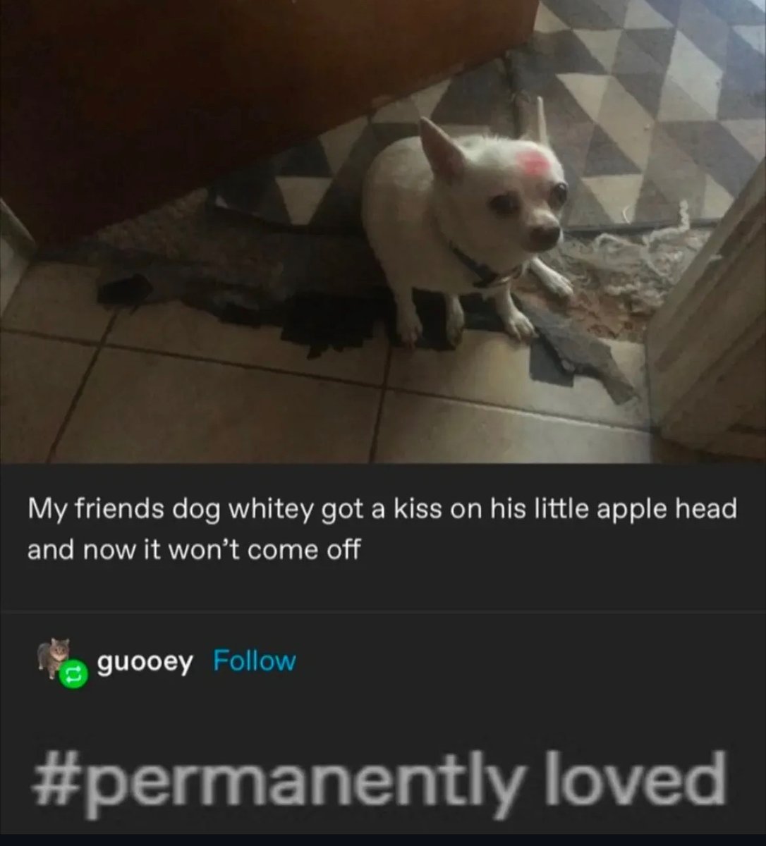 Respectful Memes (@respectfulmemes) on Twitter photo 