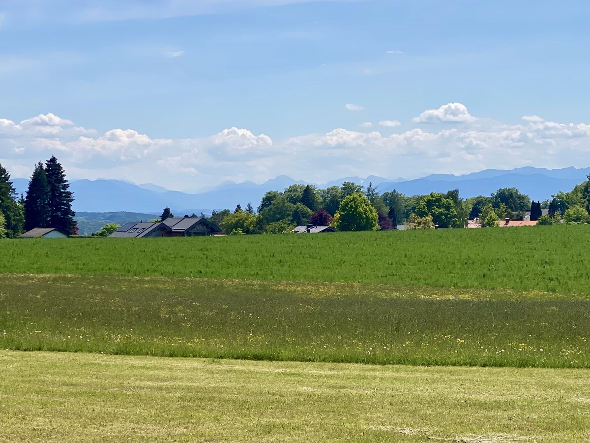 planwerk's tweet photo. Letzter stabiler Sonnentag der Woche. Also mal raus und kurz die Beine fallen lassen. Gut für Kopf und Körper. Und neue Strecke ist immer wieder spannend. Und so schön. #Rennrad #München #Percha #StarnbergerSee #Isar
Und ihr so? https://t.co/lYfLVDWhep
