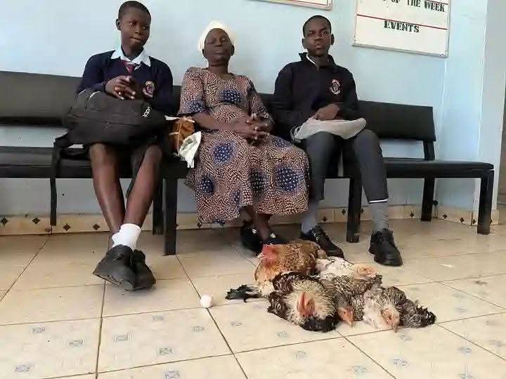 Because of her love for education,  this granny from Homa Bay took six chickens to Adiedo mixed as school fees after her granddaughter was sent home. One of the hens laid an egg at school! 😢