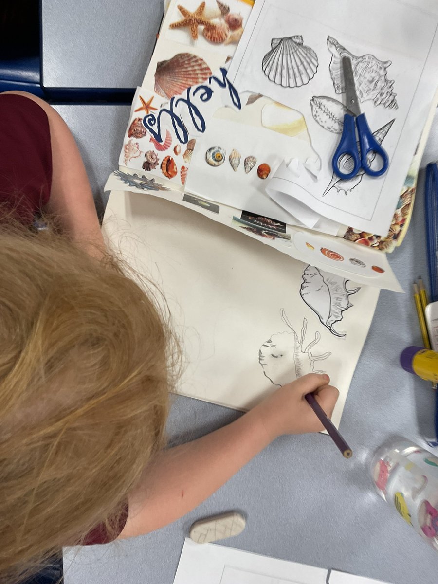 PDA_Y2's tweet image. Developing our line drawing skills by carefully observing a selection of shell drawings. 👀⭐️👀 #pdaart