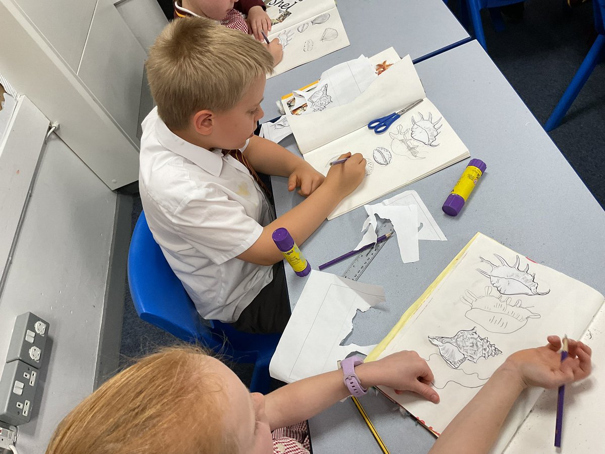 PDA_Y2's tweet image. Developing our line drawing skills by carefully observing a selection of shell drawings. 👀⭐️👀 #pdaart