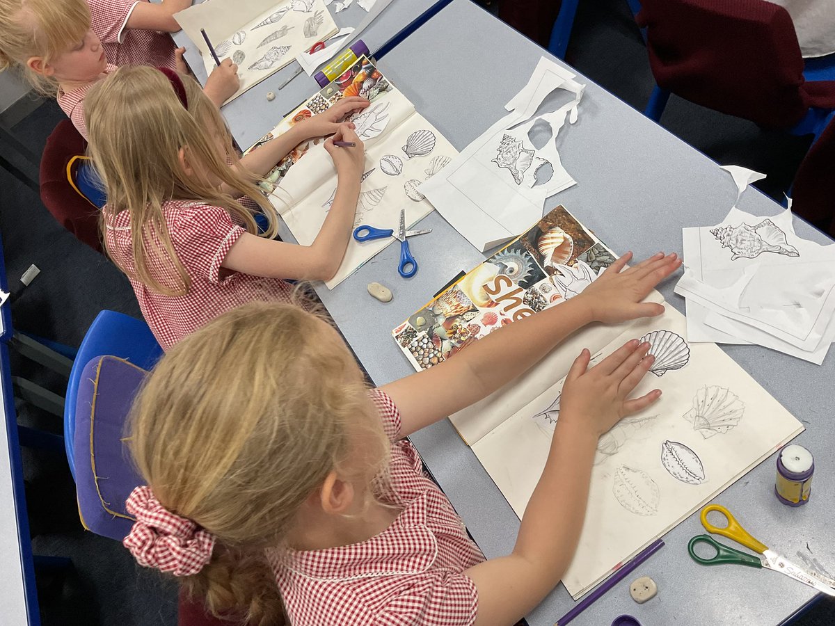 PDA_Y2's tweet image. Developing our line drawing skills by carefully observing a selection of shell drawings. 👀⭐️👀 #pdaart