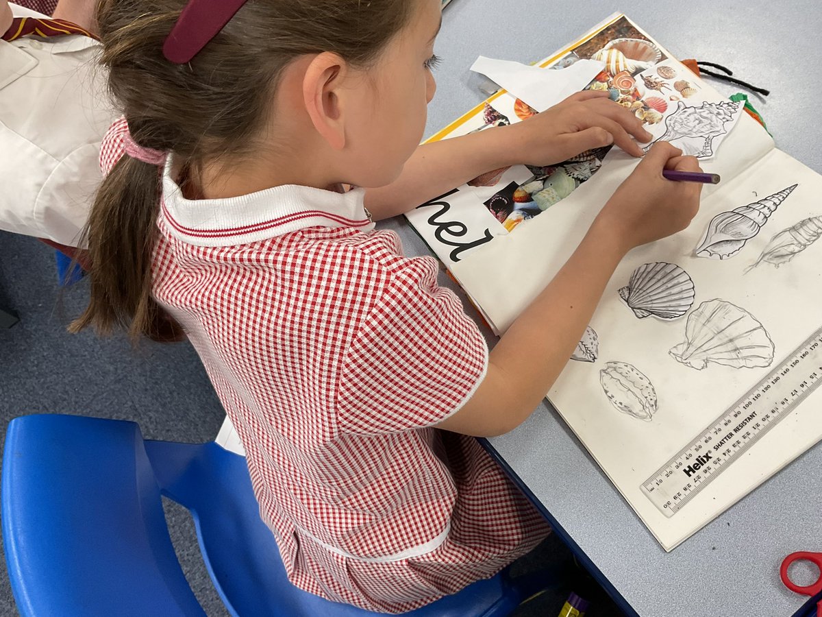 PDA_Y2's tweet image. Developing our line drawing skills by carefully observing a selection of shell drawings. 👀⭐️👀 #pdaart