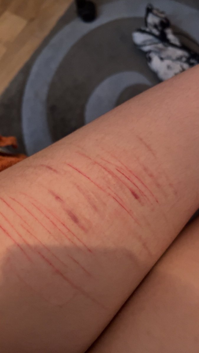 got a few pretty cuts from yesterday