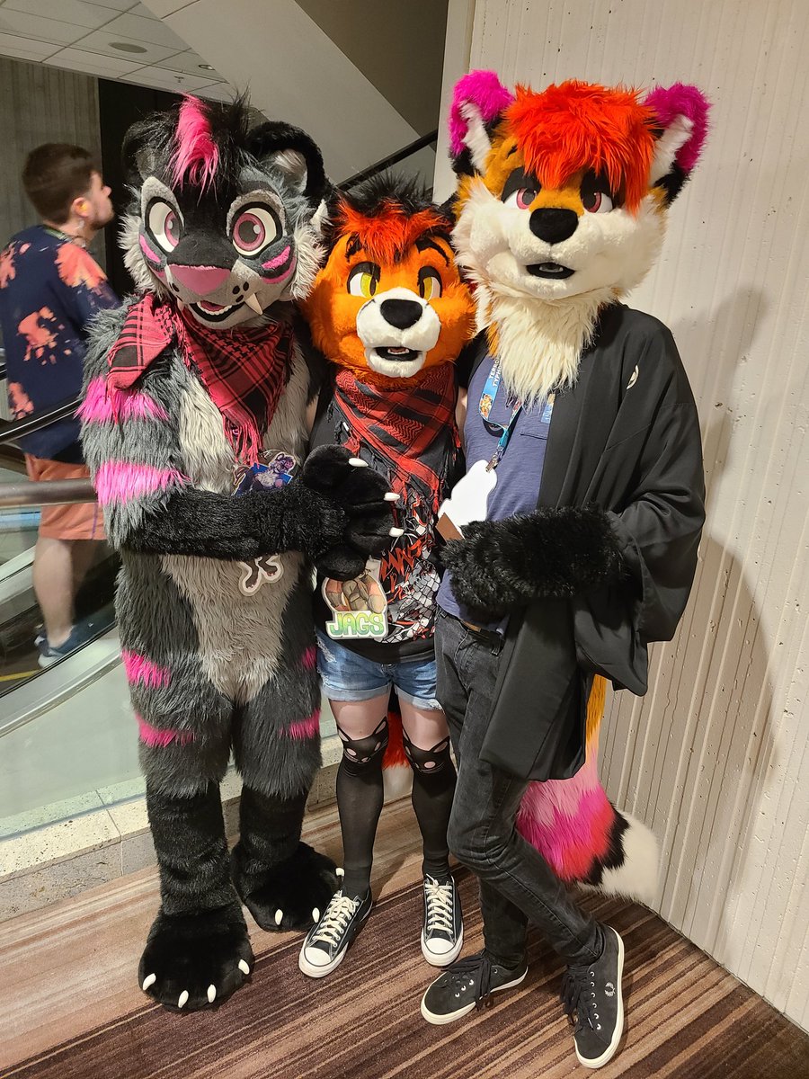 Looks like <a href="/JagsyRedPanda/">Jags 🏴󠁧󠁢󠁷󠁬󠁳󠁿 🍎</a> is in danger sandwiched in-between <a href="/MeekoTooth/">Meeko</a> and <a href="/Foxtalic/">Cassius🌱</a> at #FWA2025